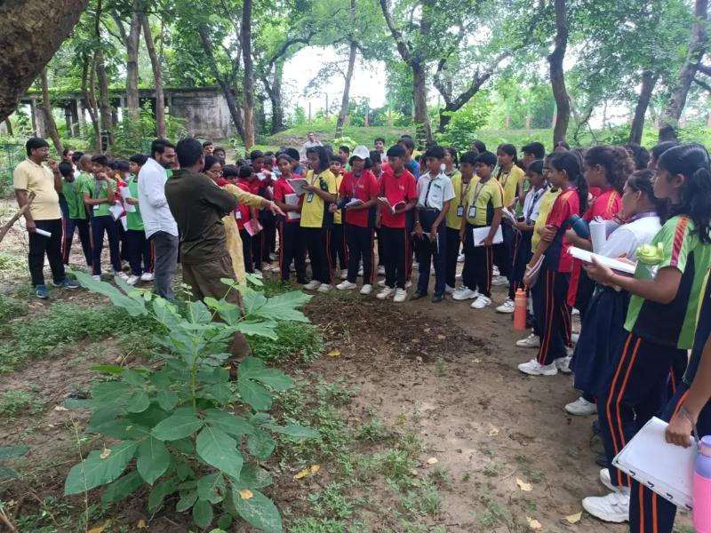 Nature - Walk & Talk