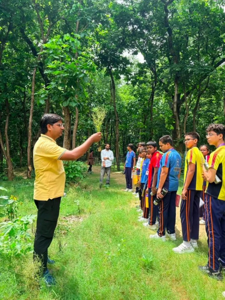 Nature - Walk & Talk