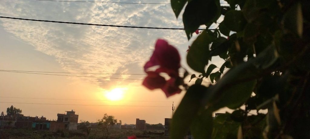 World Photography Day